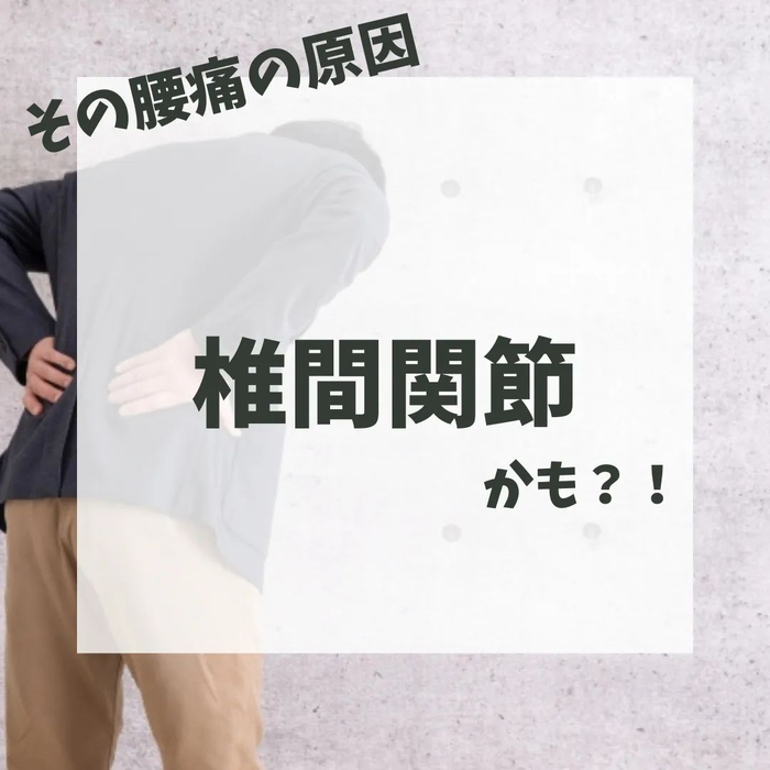 画像537