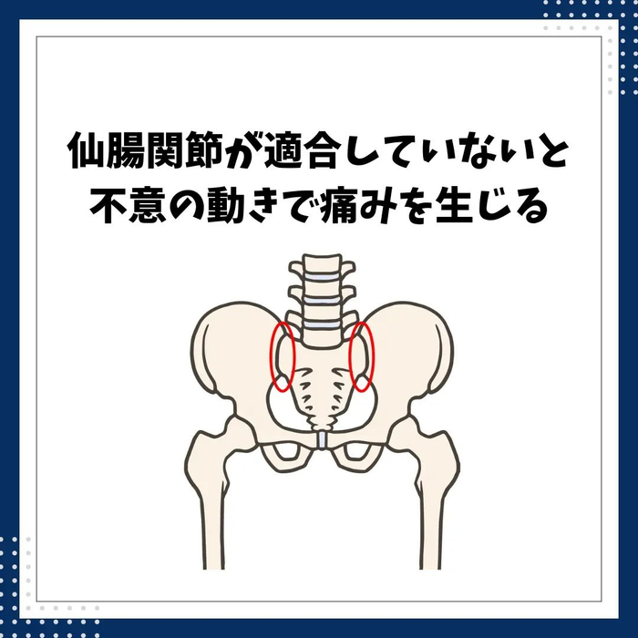 画像546