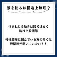 画像558
