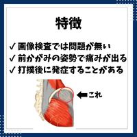 画像566