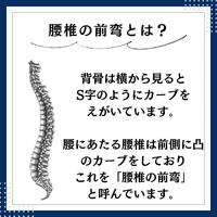 画像586
