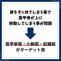 画像617