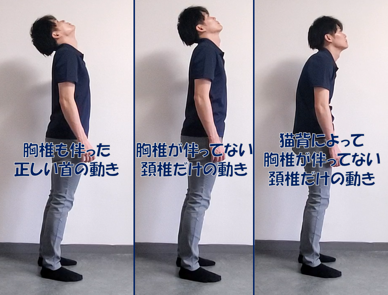 首の動き