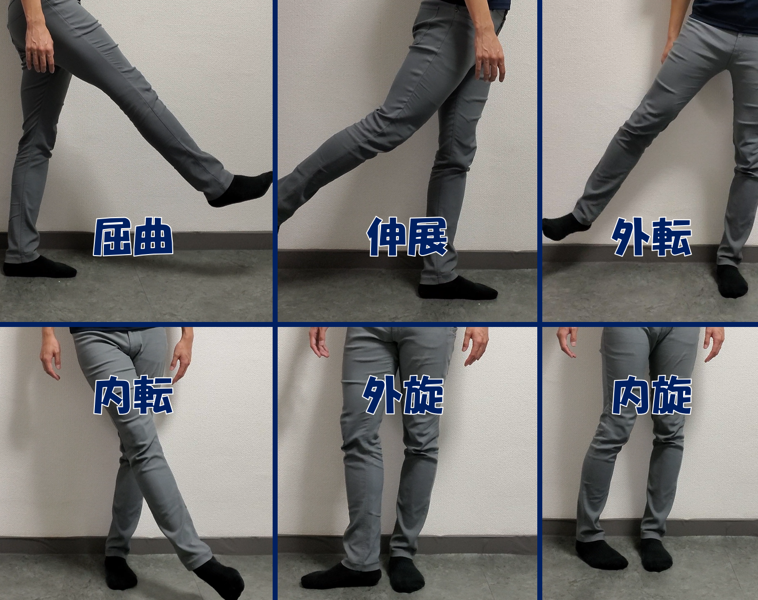 股関節の動き