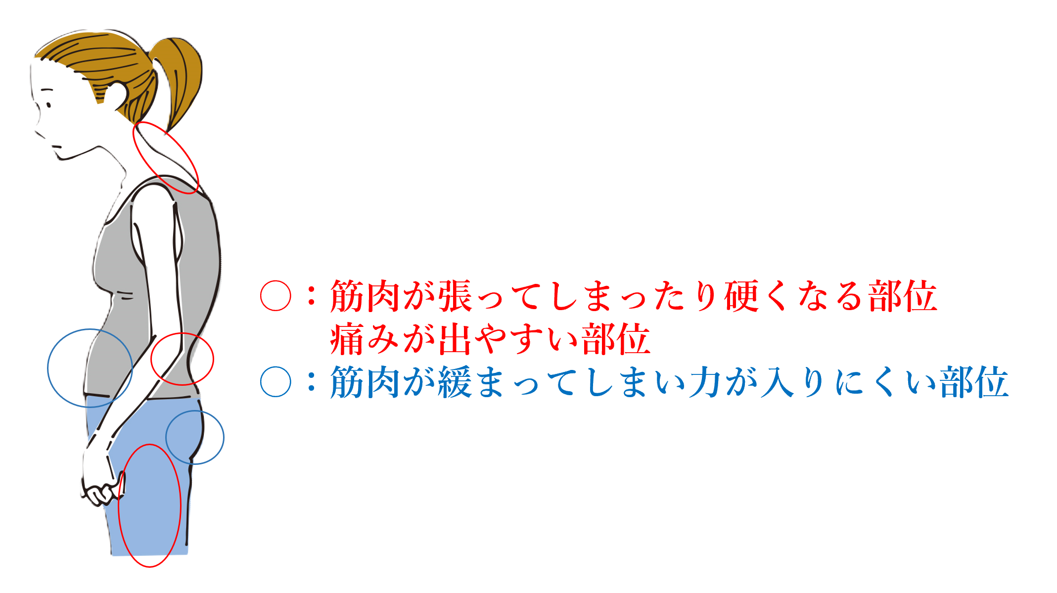 猫背の影響